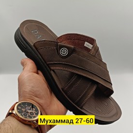 Сланцы
