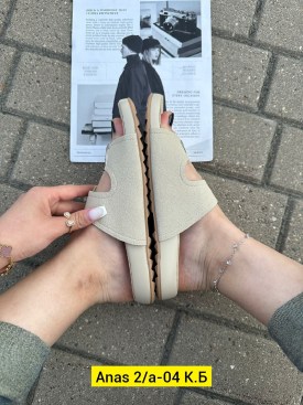 Сланцы
