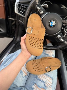 Сланцы