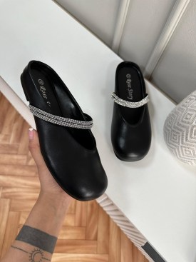 Сланцы