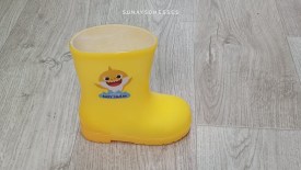 Сапоги