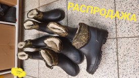 Сапоги