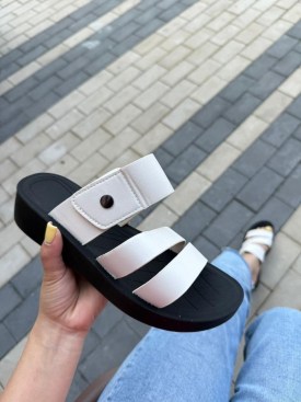 Сланцы