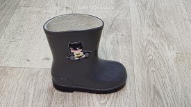 Сапоги