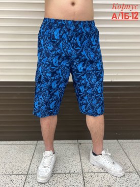 Шорты