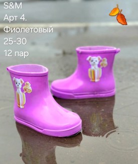 Сапоги