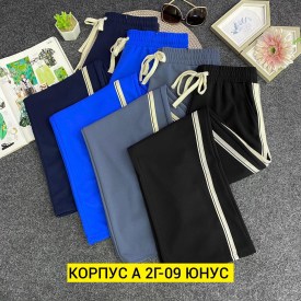 Штаны