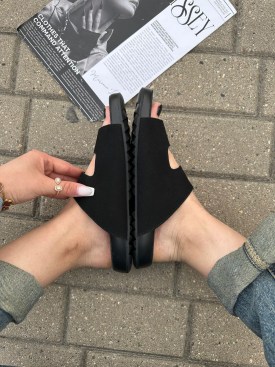 Сланцы