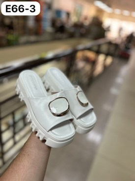 Сланцы