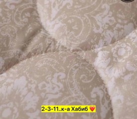 Одежда
