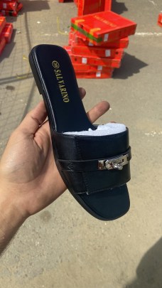 Сланцы