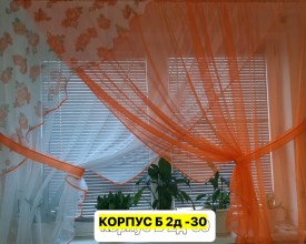 Одежда