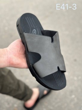 Сланцы