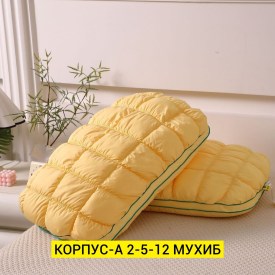 Одежда