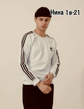 Толстовка