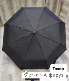 Одежда