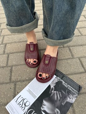Сланцы