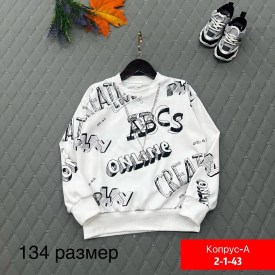 Толстовка