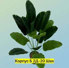 Одежда