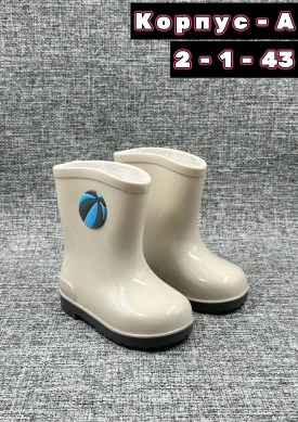 Сапоги