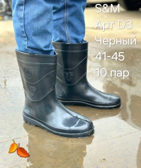 Сапоги