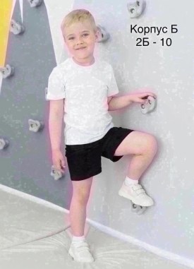 Шорты