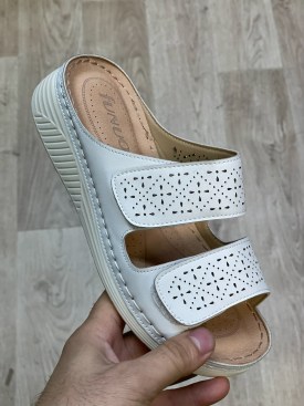 Сланцы