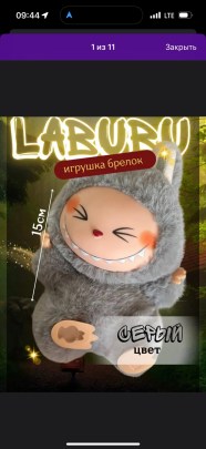 Одежда