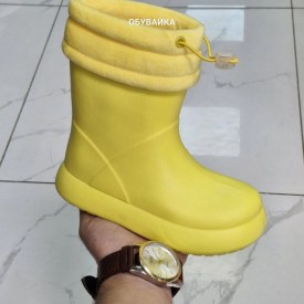 Сапоги