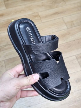 Сланцы