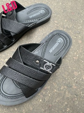 Сланцы