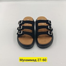 Сланцы