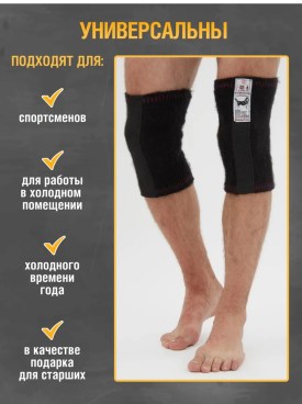 Одежда