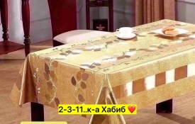 Одежда
