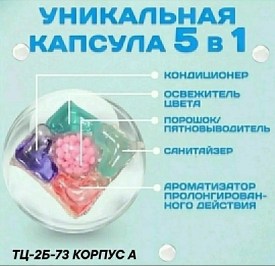 Одежда
