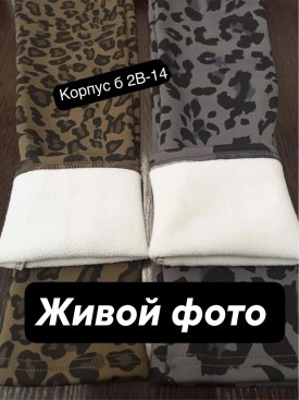 Лосины