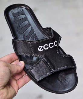 Сланцы