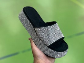 Сланцы