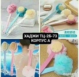 Одежда