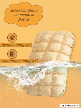 Одежда