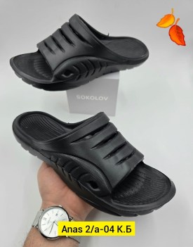 Сланцы