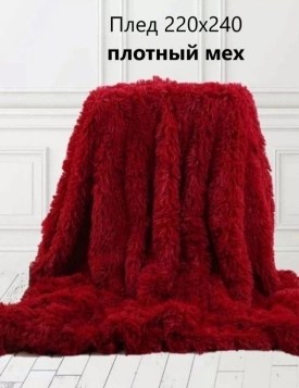 Одежда