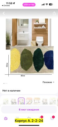 Одежда