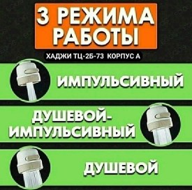 Одежда