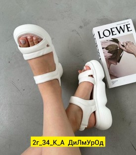 Одежда