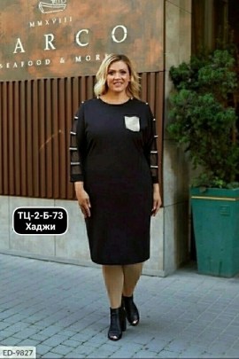 Одежда