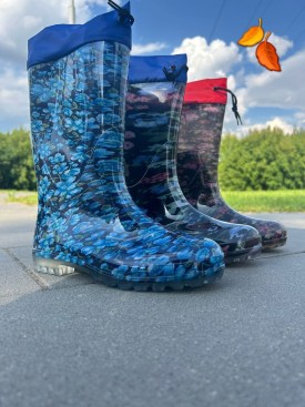 Сапоги
