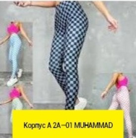 Лосины
