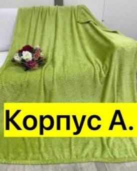 Одежда