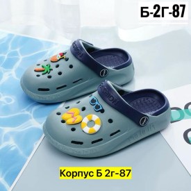 Сланцы